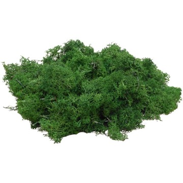 Обрезки мха Forest Green, Картон 600г.