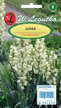 JUKKA ROŚLINA ZIMOZIELONA 0,2 g CUDO DO OGRODU 'L