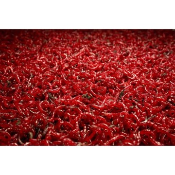 КОМБИНАЦИЯ ДЛЯ РЫБАЛКИ НА ЖИВОЙ КРЮЧОК 100Г