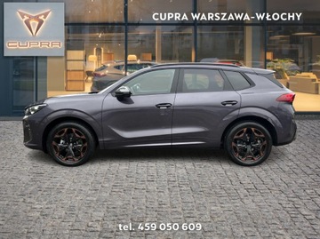 Cupra Terramar 2025 Cupra Terramar 2.0 TSI 204 KM 7-biegowa automatycz, zdjęcie 1