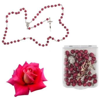 RÓŻANIEC PACHNĄCY, ZAPACHOWY RÓŻANY (ZAPACH RÓŻA)