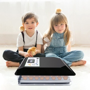 INKUBATOR 56 JAJ AUTOMATYCZNY WYLĘGARKA 230/12V Akcesoria