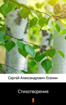 Стихотворения (Wiersze) - e-book
