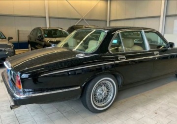 Jaguar XJ III 1980 Jaguar Daimler DOUBLE-SIX VANDEN PLAS 5.3 V12 5.3 Benzyna 295KM, zdjęcie 4