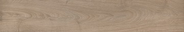 НАПОЛЬНАЯ ПЛИТКА ПОД ДЕРЕВО ГРЕС ПАНЕЛЬ SPACE NATURAL 20X120 РЕЗЬБА /МАТ
