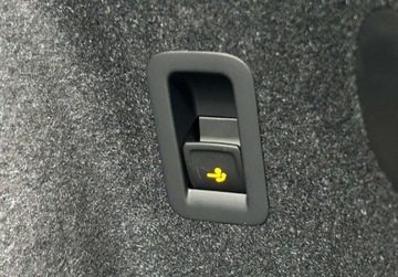 Cupra Terramar SUV 2.0 TSI 204KM 2025 Cupra Terramar Prawie wszystkie pakiety Kamera 360, Hak, ACC, Matrix, DCC,, zdjęcie 33