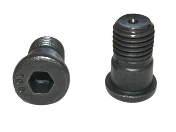 TEXTAR Болты тормозного диска M10x1,25 | 2 шт.