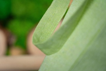 Зеленая сумка из переработанного хлопка 38х42 см, 145 г.