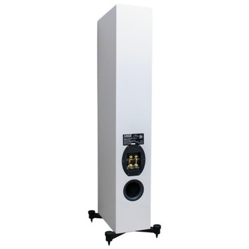НАПОЛЬНЫЕ КОЛОНКИ TAGA HARMONY PLATINUM F-90 SL V2