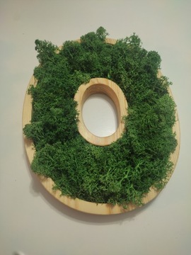 буквы с мхом хроботек любой текст