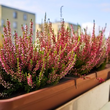 БАЛКОННЫЙ ЯЩИК, ЦВЕТОЧНЫЙ ГОРШОК 80см + ПОДСТАВКА