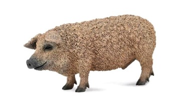 Świnia mangalica 88674 COLLECTA