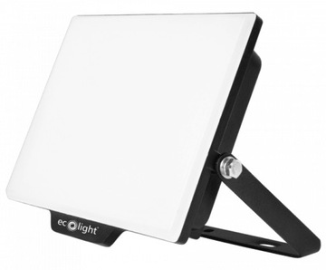 Naświetlacz NL-2 30W biały neutralny