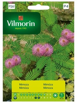 MIMOZA WSTYDLIWA 0,8 G VILMORIN EXOTIC HOBBY