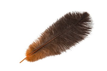 PIÓRO DEKORACYJNE STRUSIE pomarańczowe 40cm