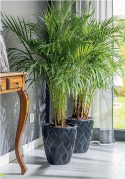 ЦВЕТОЧНЫЙ ГОРШОК FLOW SLIM 3D С Н58 FI40 АНТРАЦИТОВОЙ ВСТАВКОЙ