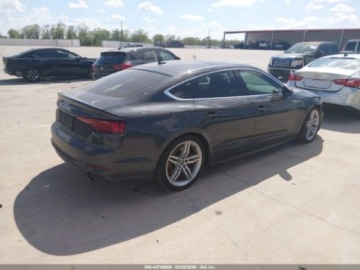 Audi A5 F5 2019 Audi A5 Limousine AUDI A5 45 PREMIUM 2.0 Benzyna 248KM, zdjęcie 2