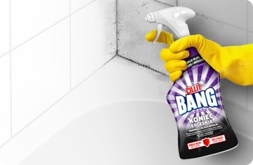Cilllit Bang Spray для плесени и черных поселений 750 мл