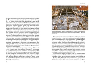 СЛАВА РЕСПУБЛИКИ. С 10-го по 21-й век. Проф. Войцех Полак