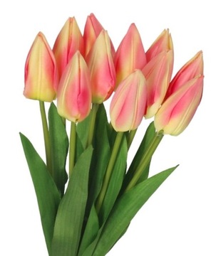 Tulipany Silikonowe Do Wazonu Ozdoba Na Wielkanoc Kwiaty Sztuczne Tulipan