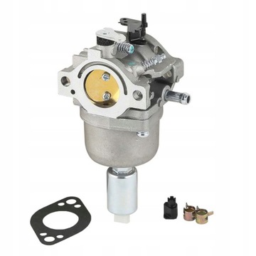 16HP 17HP 18HP dla Briggs Stratton 799727 698620