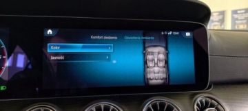 Mercedes CLS C257 Coupe Facelifting 2.0 300d 265KM 2021 Mercedes-Benz CLS CLS 300d 4MATIC AMG BURMESTER Widescreen Skora Kamer, zdjęcie 19