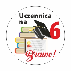 Wzorowy Uczeń Zakończenie Roku - Naklejki