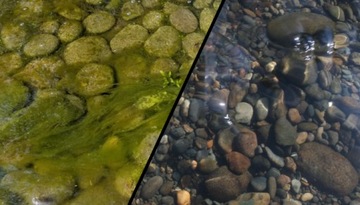 INVITAL Clear Pond Direct 1кг