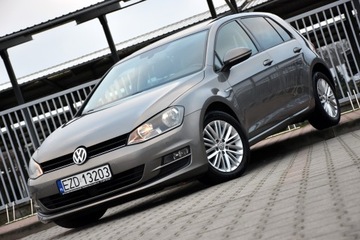Volkswagen Golf VII Hatchback 3d 1.6 TDI-CR DPF 105KM 2014 Volkswagen Golf VII CUP Edition 1.6TDI 105KM 5drzwi ACC BOGATA Wersja 2014r, zdjęcie 1