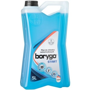 BORYGO 5L. START NIEBIESKIE
