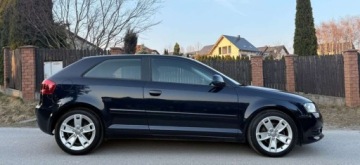 Audi A3 8P Hatchback 3d 1.6 TDI 105KM 2010 Audi A3 3-drzwiowe Audi A3 3-drzwiowe 1.6 TDI DPF Ambition 1.6 Diesel 105KM, zdjęcie 5