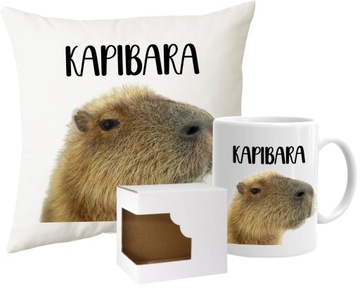 Kubek + Poduszka KAPIBARA zestaw na prezent