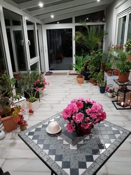 ЗИМНИЙ САД - АПЕЛЬСИНДИЯ - ЗИМНИЕ САДЫ - ПРОИЗВОДИТЕЛЬ 30 ЛЕТ