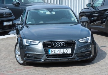 Audi A8 D4 2016 Audi A5 TDi190 Quattro Krajowa Skóra Hak Kamera Sam Parkuje LKA Fotel Sport, zdjęcie 39