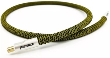 КАБЕЛЬ USB 2.0 A-B RICABLE DEDALUS USB 2м