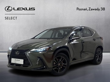 Lexus NX II SUV 350h 242KM 2022 Lexus NX 350h Prestige AWD II (2021-) Lexus NX 350