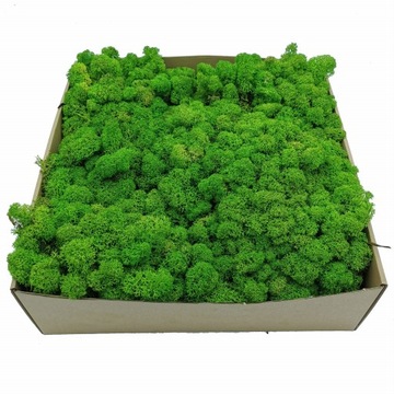 Крабовый мох - Альпийский - Очищенный - Светло-зеленый 250г НЕТТО