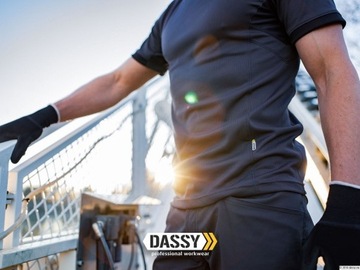 Мужская футболка Dassy Nexus L