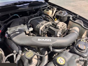 Ford Mustang V 2008 Ford Mustang 4.6 Benzyna 315KM 2008r Tuning, Niski przebieg, F-VAT, zdjęcie 33