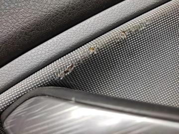 FORD C-MAX ОБИВКА ДВЕРИ ПЕРЕДНЕЙ СПРАВА