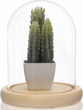 БАНКА С ЛАМПОЙ СО СТЕКЛЯННЫМ КУПОЛОМ