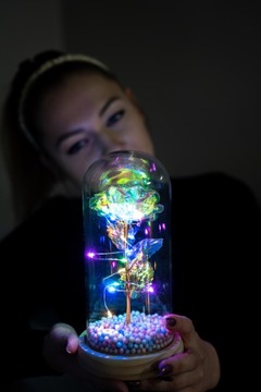 ВЕЧНАЯ РОЗА В СТЕКЛЕ, СВЕТЯЩАЯСЯ СВЕТОДИОДНАЯ РОЗА, ПОДАРОК ​​УЧИТЕЛЮ, КОНЕЦ ГОДА