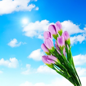 Crocus crocus Искусственный букет крокусов в травяной пружинной композиции