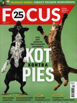 7/2021 Focus KOT KONTRA PIES