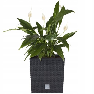 Вазон из ротанга DRTS225L Rato низкий + вставка Антрацит