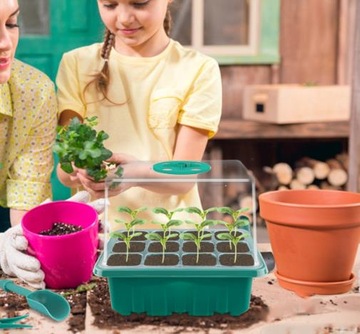 5X СЕМЕНЫ В КОРОБКЕ, ВЫРАЩИВАНИЕ РАСТЕНИЙ, СЕМЕНА ЦВЕТОВ, МИНИ-ТЕПЛИЦЫ, СВЕТОДИОДНЫЕ ЛАМПЫ