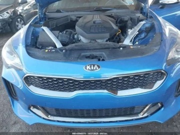Kia Stinger 2019 Kia Stinger 2.0 255 KM, RWD, GT-LINE, piekny kolor, male uszkodzenia 2.0, zdjęcie 11