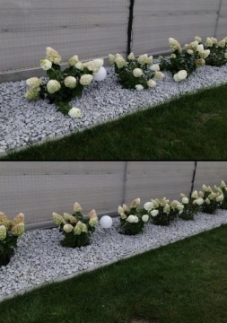 20x ЗАЖИМ ДЛЯ ПОДДЕРЖКИ ЦВЕТОВ, ПОДДЕРЖИВАЮЩИЕ ЗАЖИМЫ ДЛЯ РАСТЕНИЙ, ПРОЧНЫЕ, ПРОЧНЫЕ