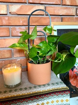 Опора для вьющихся растений Опора для вьющихся цветов Лестница для перголы 38 см