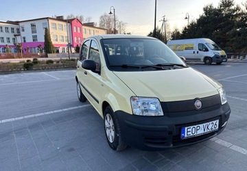 Fiat Panda II Hatchback 5d 1.1 MPI 54KM 2010 Fiat Panda Fiat Panda 1.1 Active, zdjęcie 15